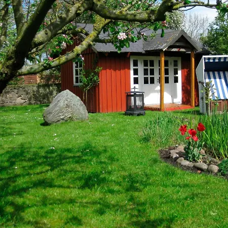 Mohnblume Nr2 *